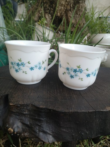 Grandes tasses véronique - 2,