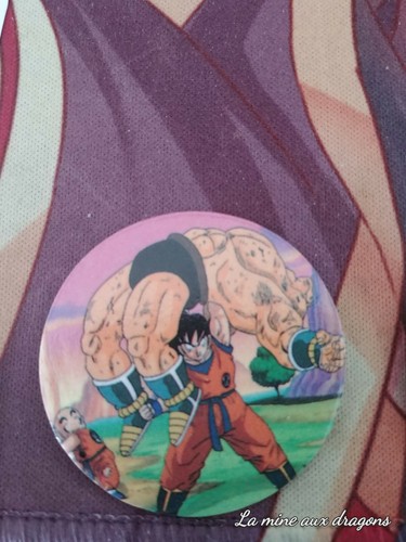 Pog dragon ball dbz caps - dragon, z