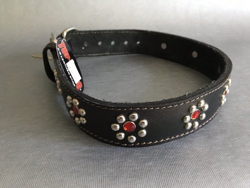Top dog leather gear - dog,