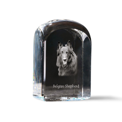 Chiens berger belge cristal - chiens, de