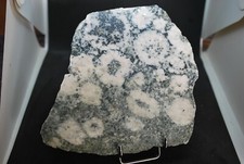 Diorite orbiculaire rose - rose, du