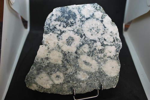 Diorite orbiculaire rose - diorite,
