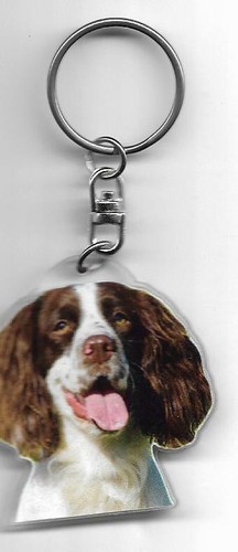 Springer anglais chien porte - ,