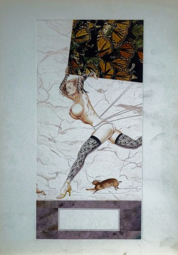 Denis sire illustration - denis,
