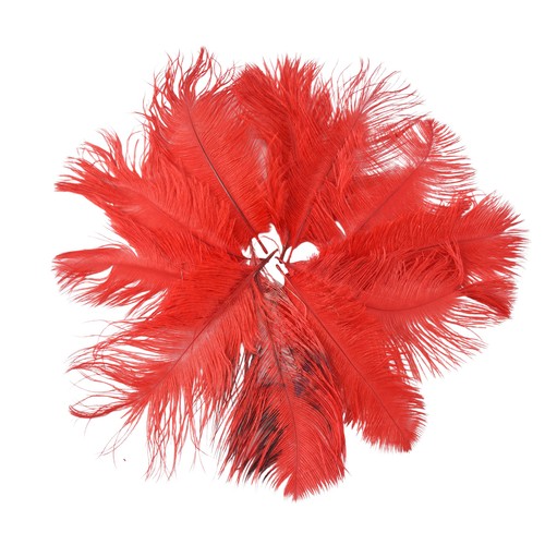 Pcs naturel plumes - pcs,