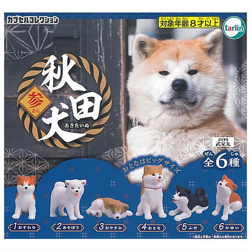 Japanese akita inu dog and - japanese,