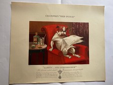 Lithographie ntée Publicitaire  Old Peter's dry Gin Marcelin Auzolle Bouledogue