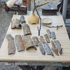 Terrarium Vivarium Decor Kit