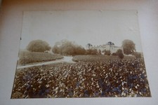 Chateau CALON SEGUR VIN Grand CRU St ESTEPHE photo ancienne rehaussée peinture