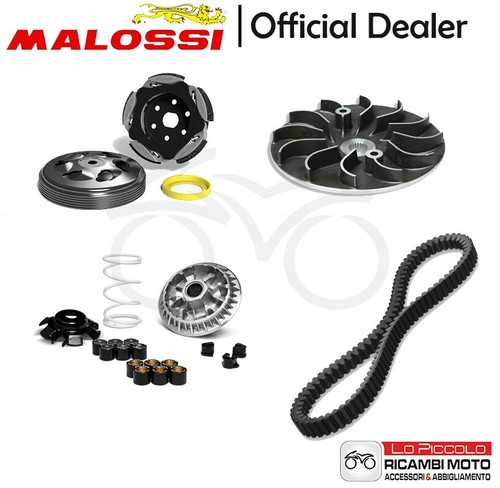 Kit malossi variateur - malossi,