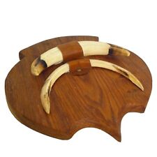 TROPHEE DE PHACOCHERE CHASSE TAXIDERMIE CABINET DE CURIOSITES 