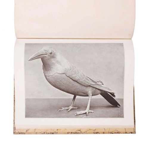 Collection édouard mène - mène],