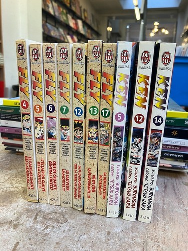 Lot manga fly - fly, ken