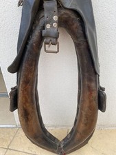 collier cheval de trait en cuir et harnais 