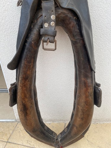 Collier cheval trait en - de,