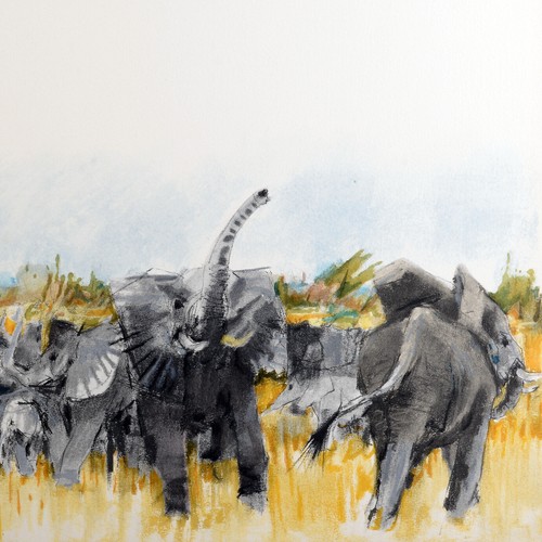 Pierre letellier eléphants - pierre,