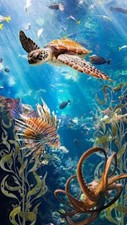 PLAQUE MÉTAL tortue mer
