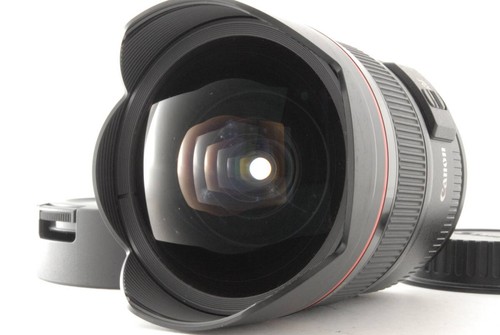 Objectif fisheye grand - , angle