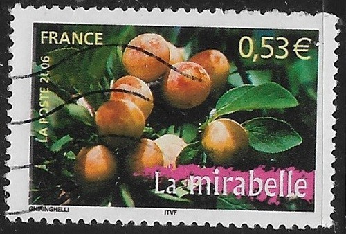 France oblitéré 2006 - france, la