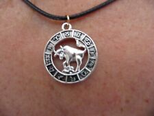 2X12= 24 Zodiac Sign Constellations Horoscope Stainless Steel Pendant Necklace