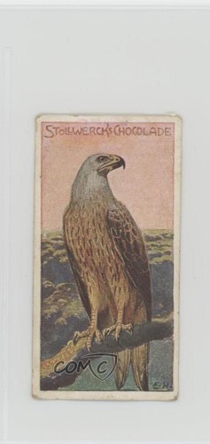 1905 stollwerck chocolates - stollwerck,