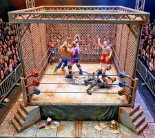WWE Inspired 1:18 Scale