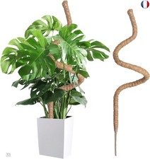 Wigearss Tuteur Plante Interieur, 120cm Tuteur Grimpante Coco, Support de