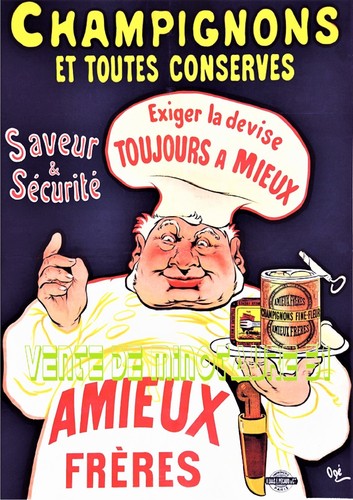 Amieux frères champignon vers - amieux,