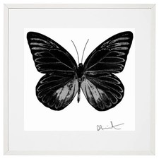 Damien Hirst - The Souls I: Raven Black/Silver Gloss (2010)