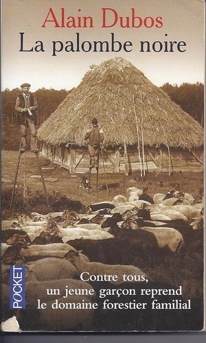 Palombe noire - la,