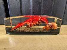 Inclusion Résine Écrevisse