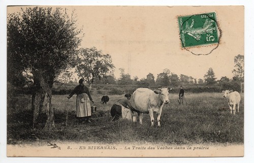 Agriculture campagne scenes - agriculture,