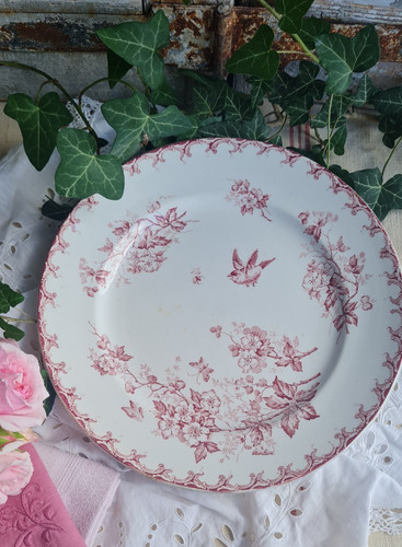 Ancien plat rond - plat, aubepine