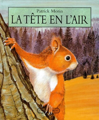 Tête air patrick - l,