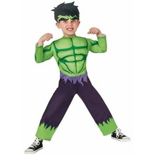 Déguisement pour Enfants Hulk