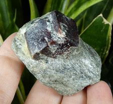 Beau Grenat Almandin Granatenkogel 5x3.5cm Tyrol Autriche minéral collection