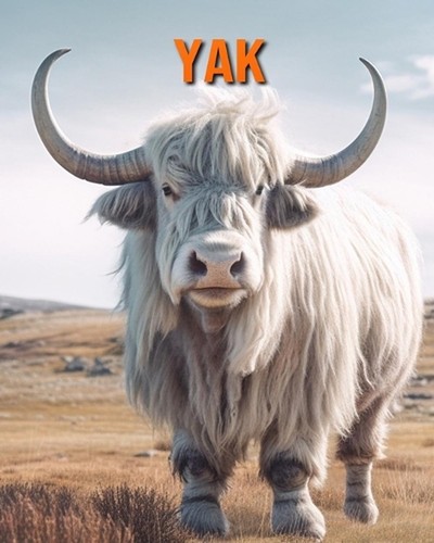Yak amazing photos and - yak:, fun