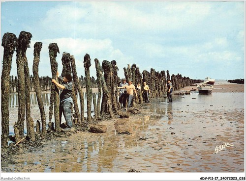 Advp11 0871 sur la cote - sur,