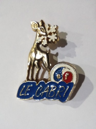 Broche esf ski français - esf, le