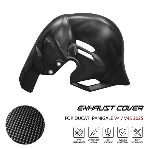 100 carbon fiber exhaust - carbon,