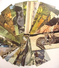 CARTES POSTALES NESTLE