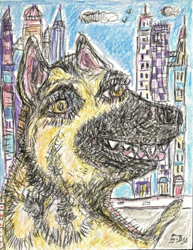 Dessin chien berger - chien, allemand