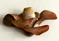 Magnifique Broche en Bois Peint Japon Camélia L=8cm Excellent état Pièce unique