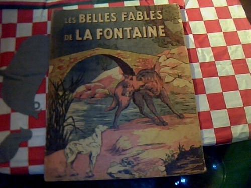 Livre pour enfant les belles - les,