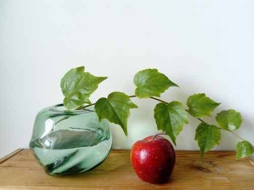 Vase boule verre de forme - ,