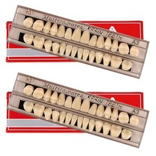 Lot de 56 fausses dents