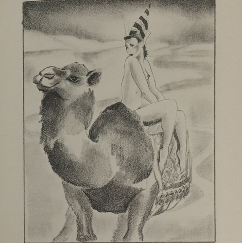 Louys les aventures roi - les, du