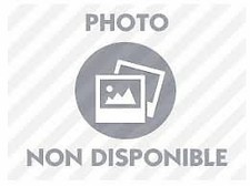 Terres malgaches : Lettres de