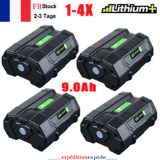 Pour EGO Power + BA5600T