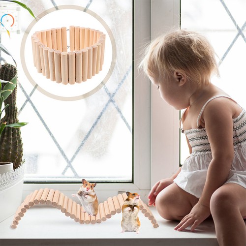 Jouet pour rat roue - pour, hamster